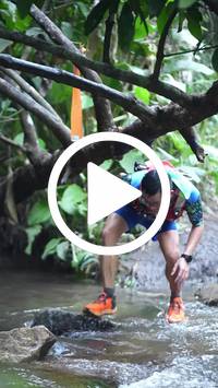 BIB:  <button type="button" onclick="openModal(27809081)" class="btn btn-primary btn-sm float-right" data-toggle="modal" data-target=".modal-high-quality">
                <i class="fa fa-download"></i> Download
                </button>